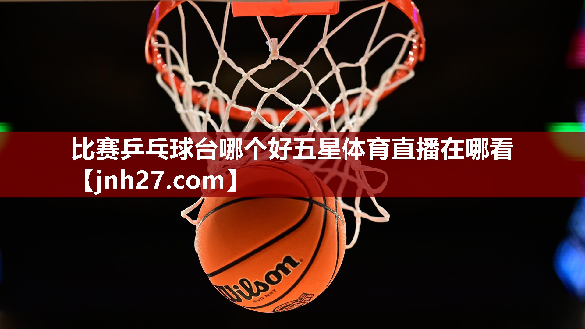 比赛乒乓球台哪个好五星体育直播在哪看