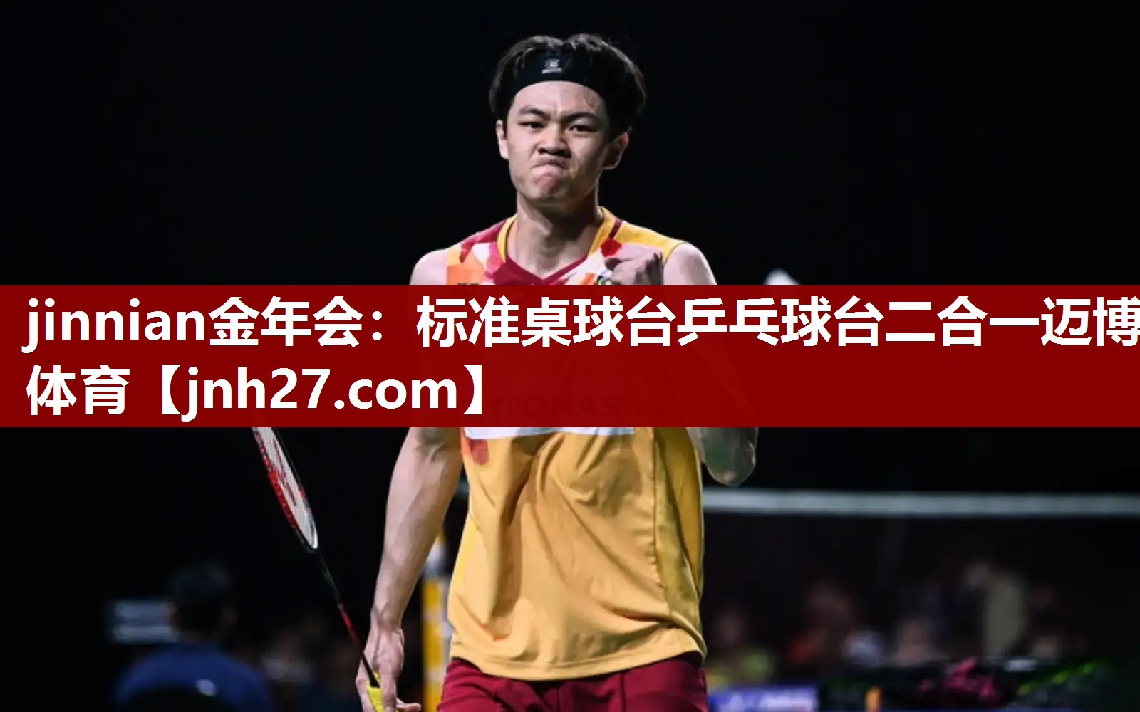 jinnian金年会：标准桌球台乒乓球台二合一迈博体育