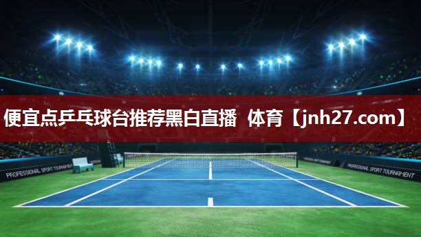 便宜点乒乓球台推荐黑白直播 体育