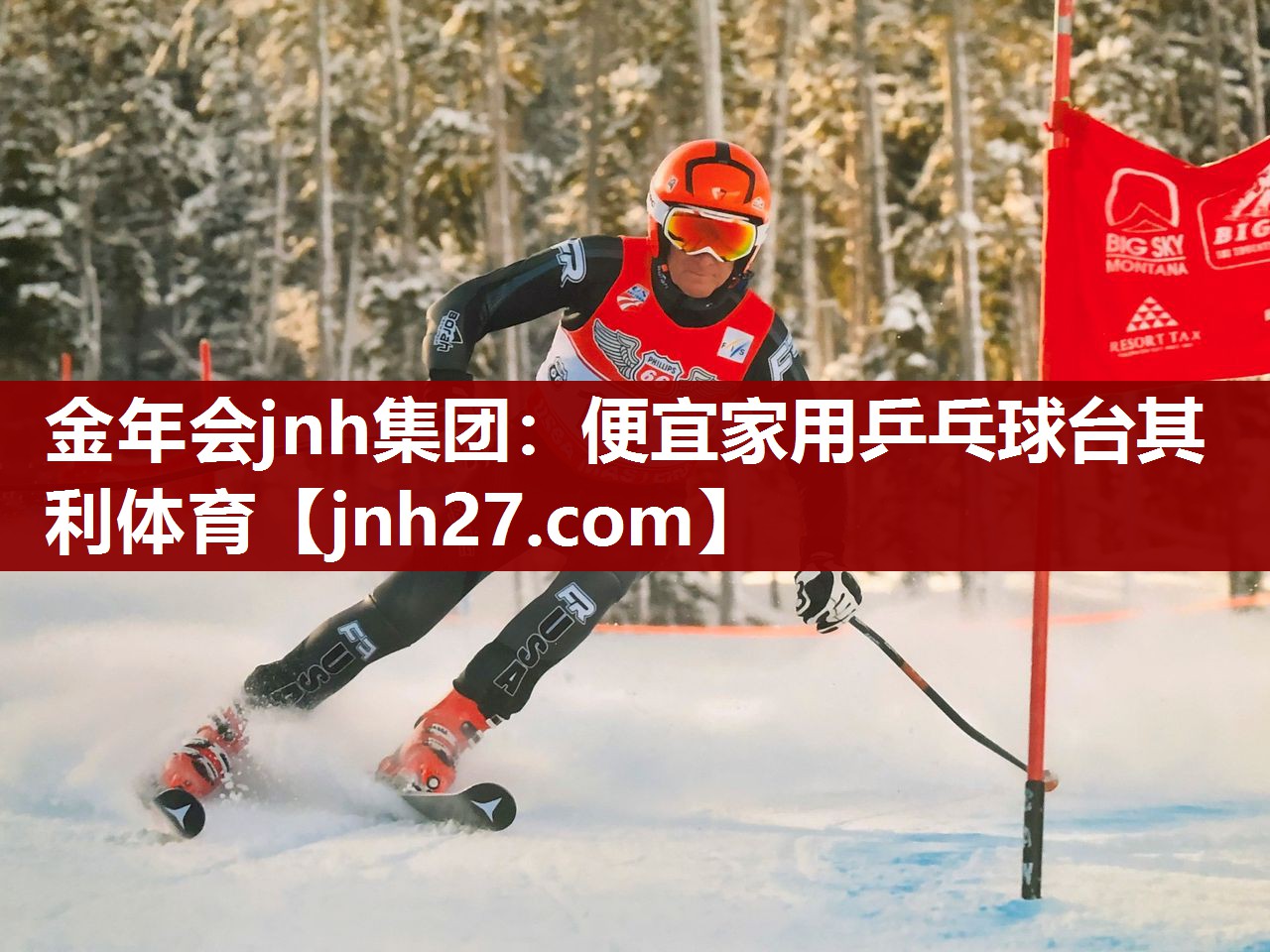 金年会jnh集团：便宜家用乒乓球台其利体育