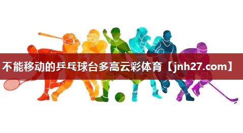 不能移动的乒乓球台多高云彩体育