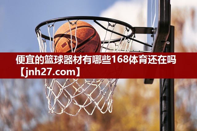 便宜的篮球器材有哪些168体育还在吗